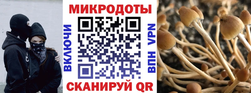 Псилоцибиновые грибы Cubensis  где купить наркотик  Ачинск 